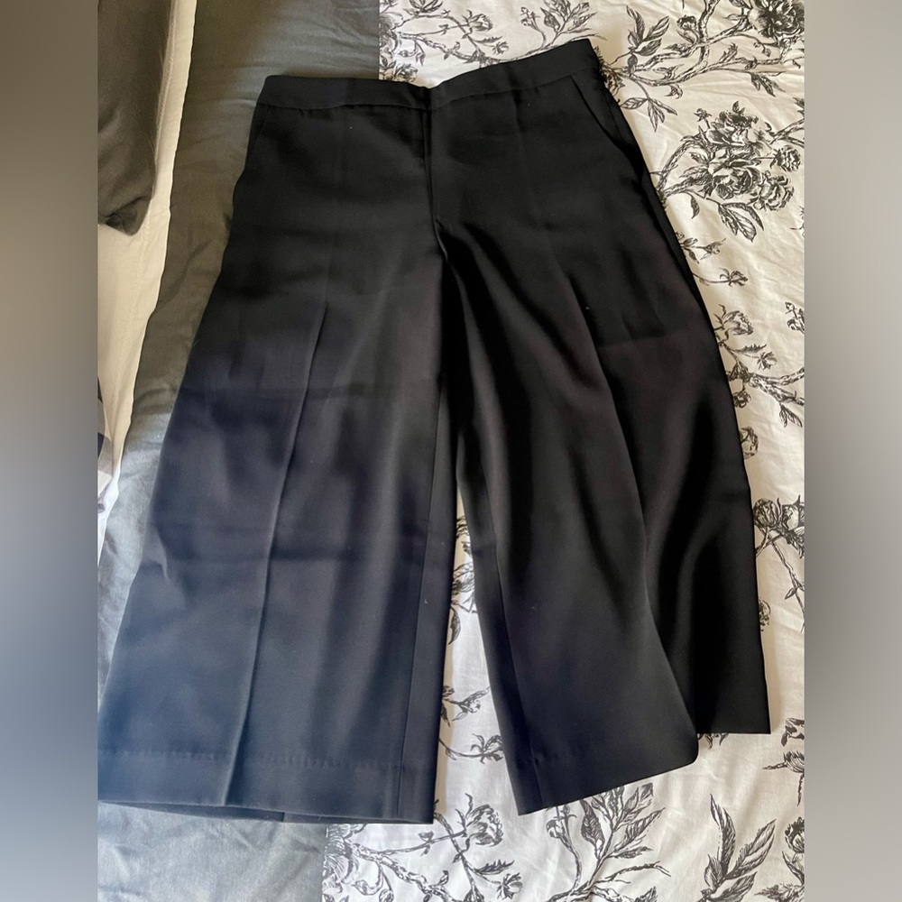 NWOT Express Gaucho pants